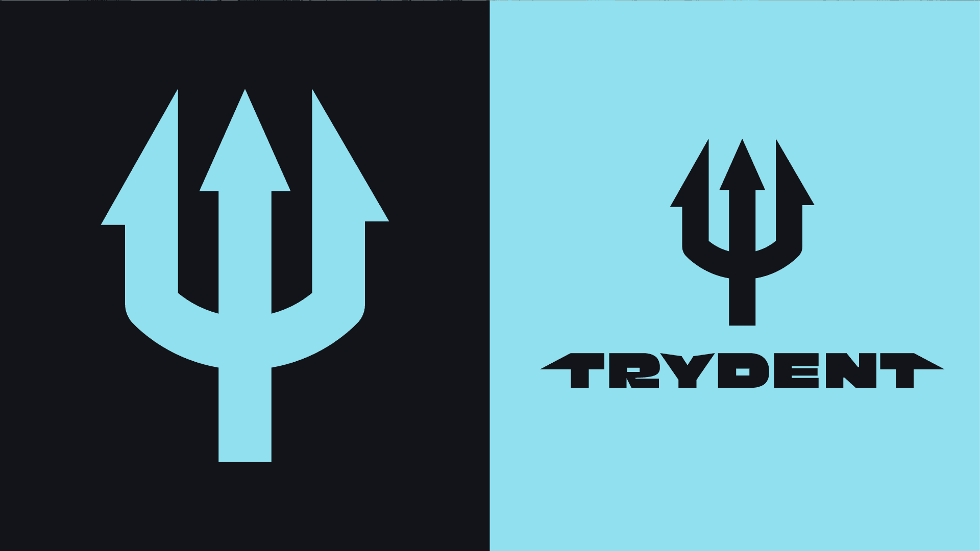 logo variations